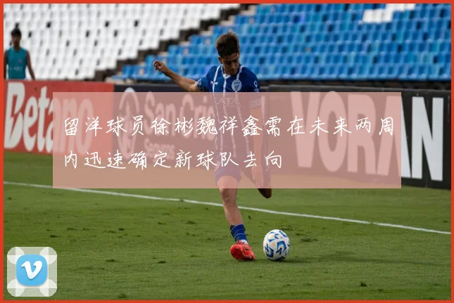 留洋球员徐彬魏祥鑫需在未来两周内迅速确定新球队去向
