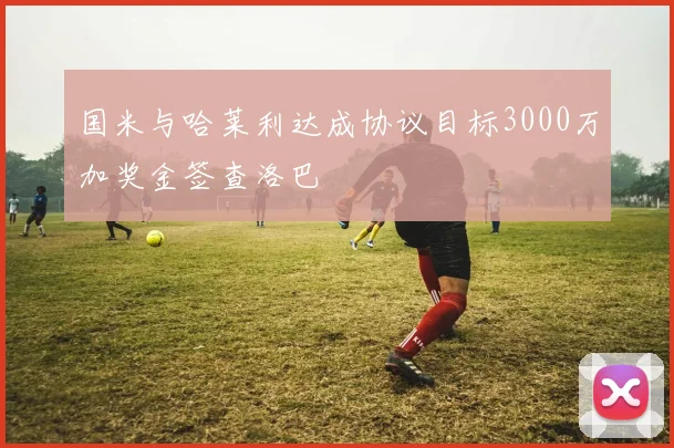 国米与哈莱利达成协议目标3000万加奖金签查洛巴